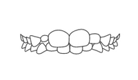 Decorative dental banner with two tooth illustrations flanked by leaf designs.